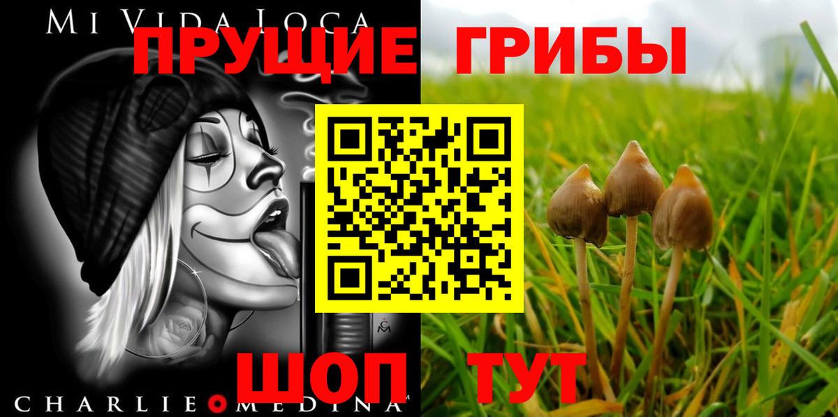 Калининград  Псилоцибиновые грибы Magic Shrooms  Вход с VPN 